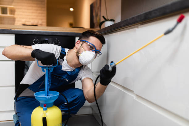 Best Pest Prevention Services  in Varnell, GA