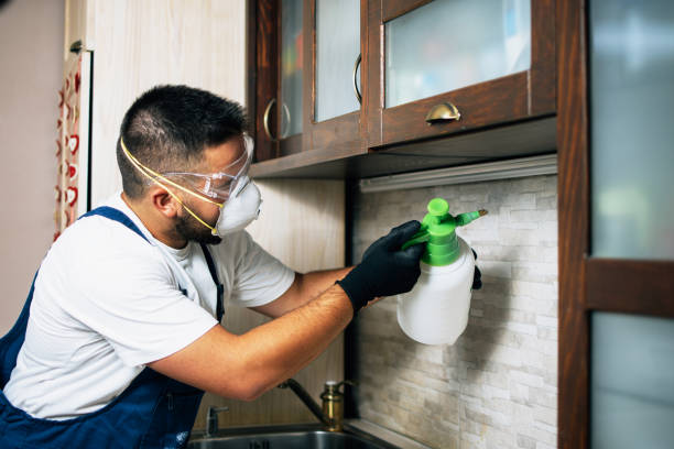 Best Emergency Pest Control  in Varnell, GA