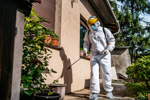 Trusted Varnell, GA Pest Control Experts