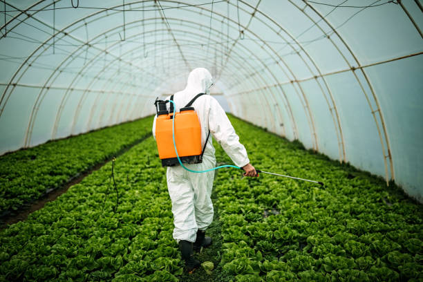 Best Pest Control for Businesses  in Varnell, GA