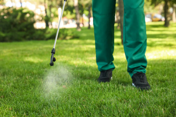 Best Termite Control Services  in Varnell, GA