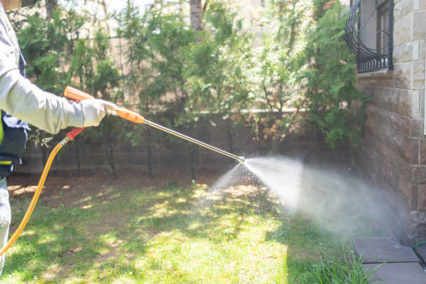 Best Flea Control Services  in Varnell, GA