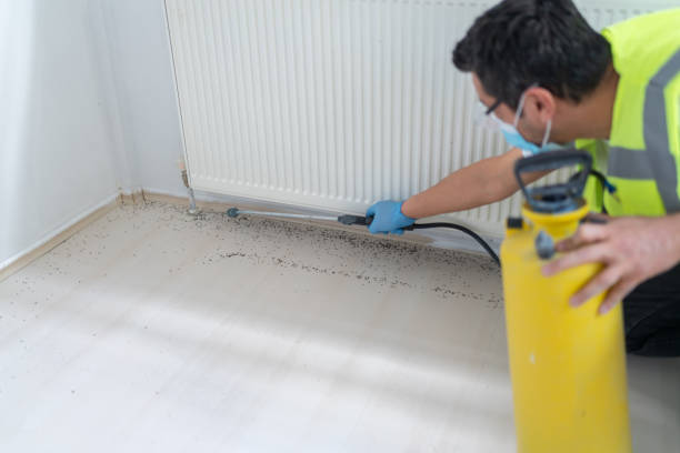 Best Pest Control for Homes  in Varnell, GA